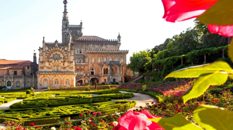 Exterior do Bussaco Palace Hotel, interior do quarto de luxo, refeições requintadas no Bussaco Palace Hotel, vista da natureza do hotel, detalhes históricos da propriedade.