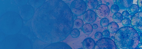 transplante sobrancelhas