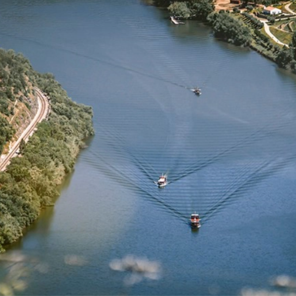 Quinta das Carvalhas